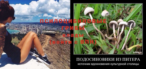 кокс Алексин