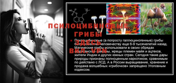 дурь Алексеевка