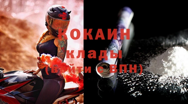 кокс Алексин