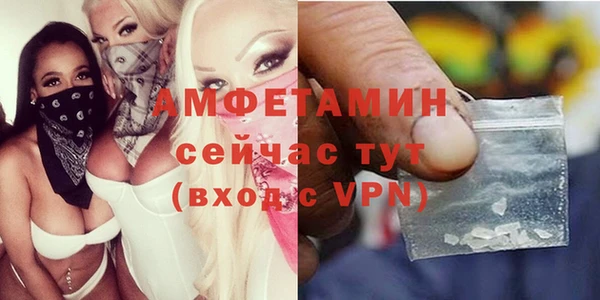 ГАЛЛЮЦИНОГЕННЫЕ ГРИБЫ Покровск